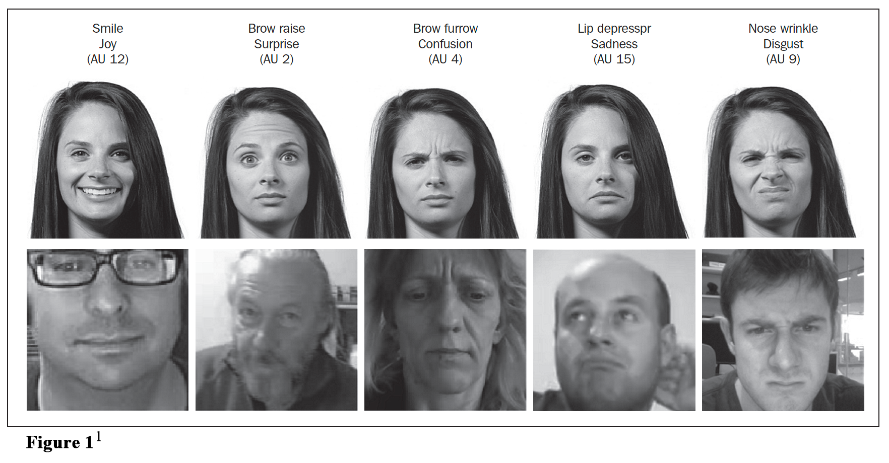 Graphic Indicating Different Types of Facial Expression of Smile Brow Raise Brow Furrow Lip Depressor and Nose Wrinkle