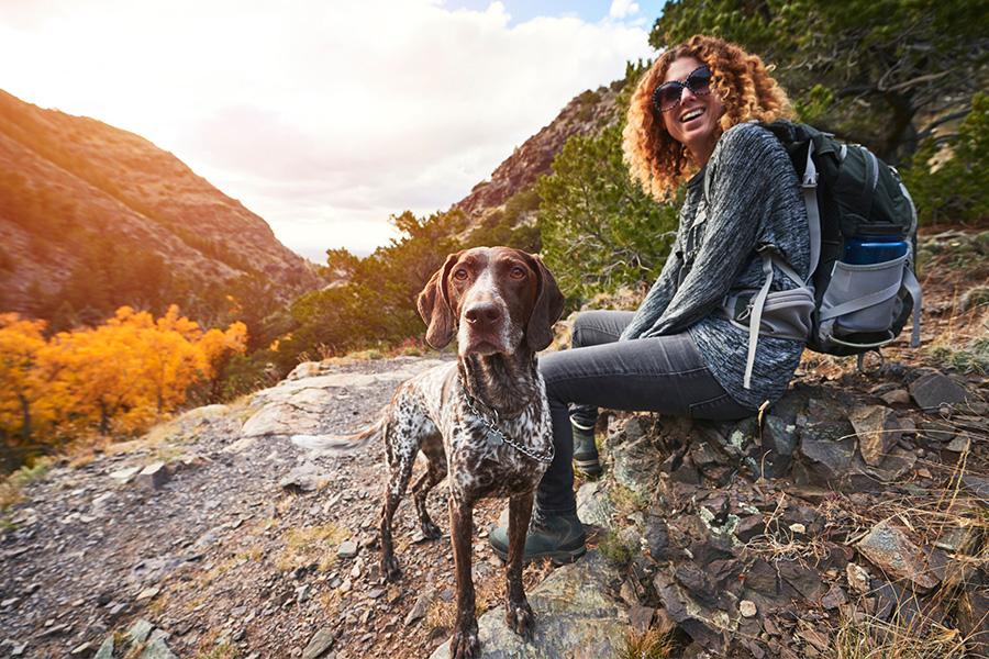 stock image of woman hiking with her dog. she is sitting a rock smiling with a tree and mountain background and dog is looking at the camera.